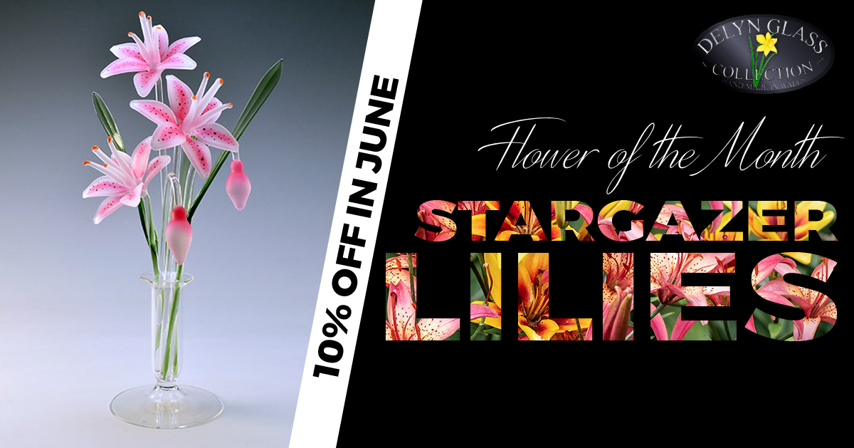 10% Off Stargazer Lilies in June